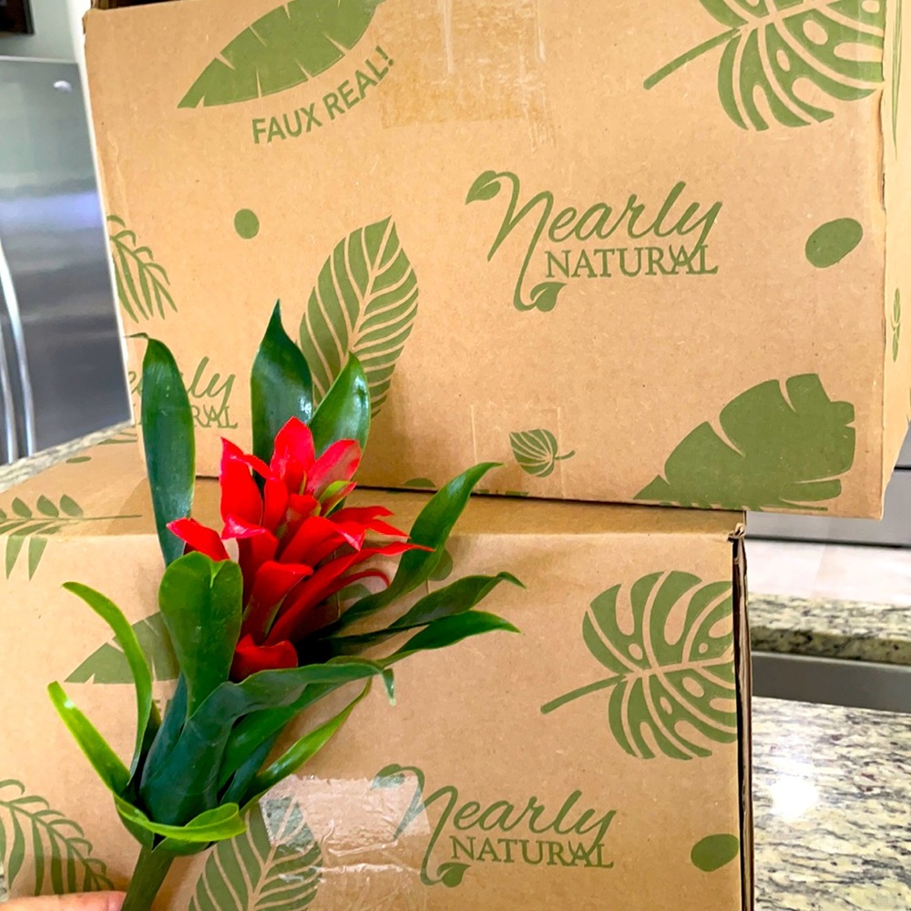 Nearly natural red bromeliad